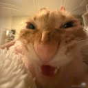 avatar GRRRR