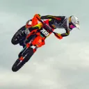 dinonuggetduck