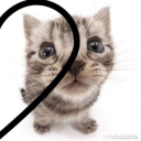 zarifloveshimself69's Avatar