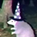 buckettus