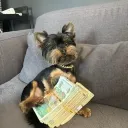 koidalipoznavam1
