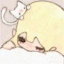 zee's avatar