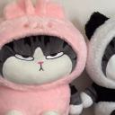 avatar ˚₊‧꒰ა ♱ ໒꒱ ‧₊˚