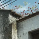 shiefu