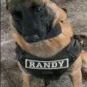 toemuncher_234 avatar