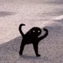 Аватар yyuxami