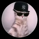 ghost144hz6280 avatar