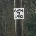 bigdoglarry