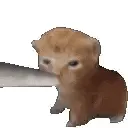 nyross
