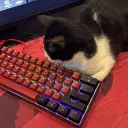 gripfps