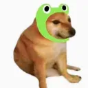 rubenxmc avatar