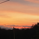 avatar Rat King (Dead) (Fresh, Uncooked