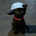 avatar abel