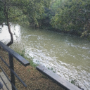 avatar わさび🇬🇧