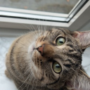 avatar Gewoon Demi #1 <3