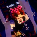 sadin2