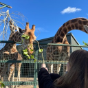 avatar 𝕜𝕪𝕝𝕖𝕖