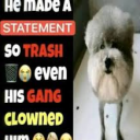 avatar Bad Statement Maker