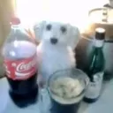 quevergaesuncalvario avatar