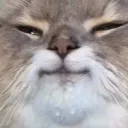 bodhu4ek