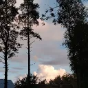 Аватар venomfgg