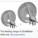 avatar Saltshaker