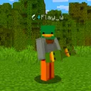flay_w