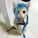 livifnbr