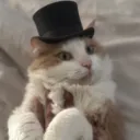 itzcatwarrior