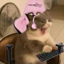 kat0utthebag