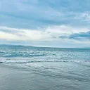 estebansaurios avatar