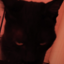 Rafa 🐱