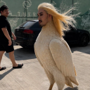 avatar Dinowav