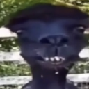 Balls | Dangerous Pedo avatar