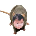 3r0xz