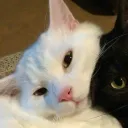 3r0xz