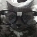 sapolina. avatar