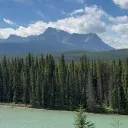 hairycheese24 avatar