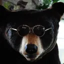 bearblackdmc avatar
