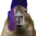 capy_tag