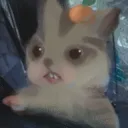 legendarykira