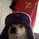 kevin_gg2935
