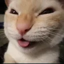 meownalisa_