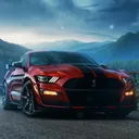 mustang9081