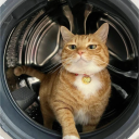 avatar Mieraᵐˢᶜ