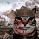 `1stSgt. USMC Enjoyer