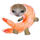 avatar shrimp
