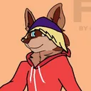 dyrekracc