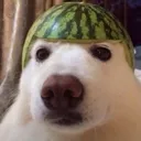 datguyandrei_511