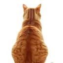 muffin_2018